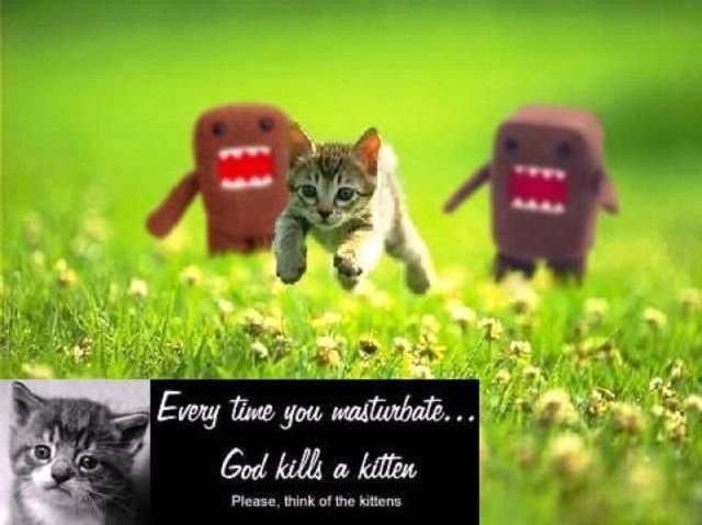 killing kittens